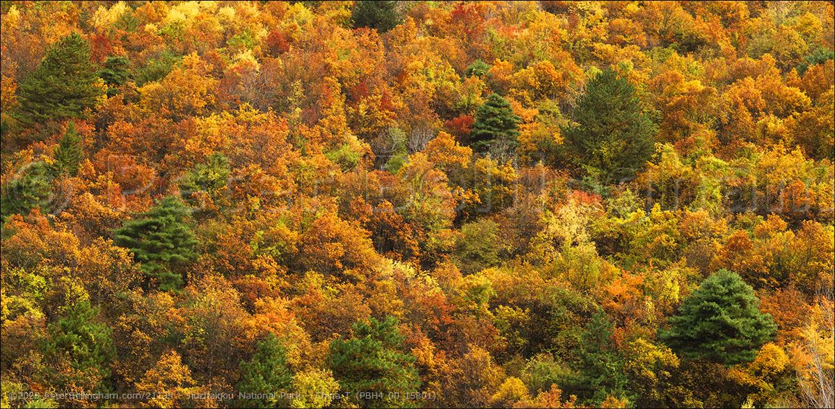 Peter Bellingham Photography Jiuzhaigou National Park - China T (PBH4 00 15801)